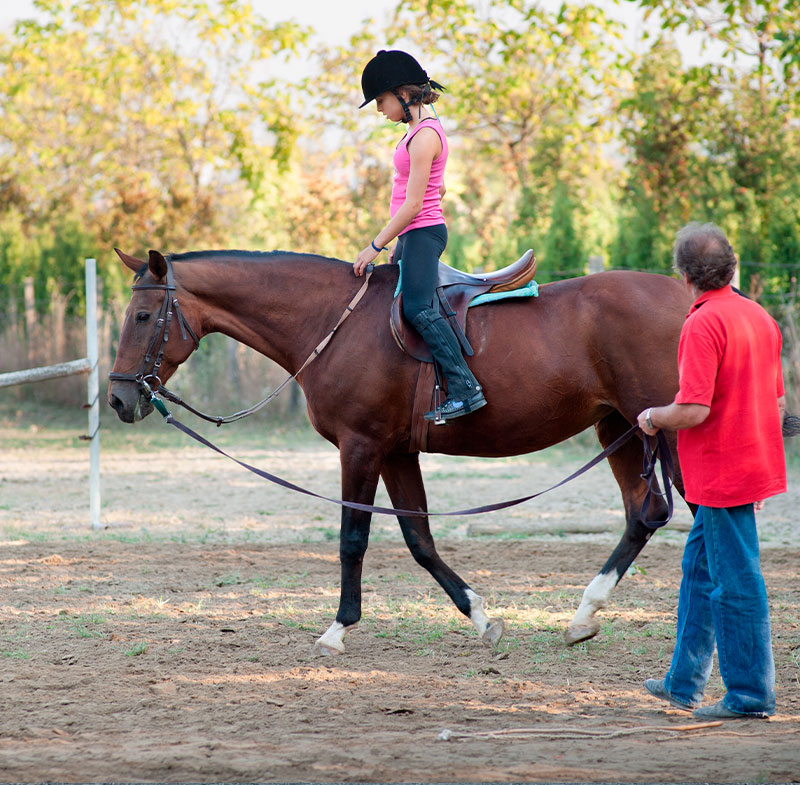 Centro Ecuestre Las Gemelas. Clases de equitación