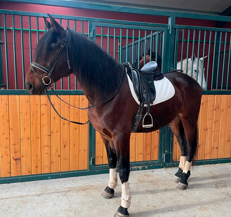 Centro Ecuestre Las Gemelas Equitación