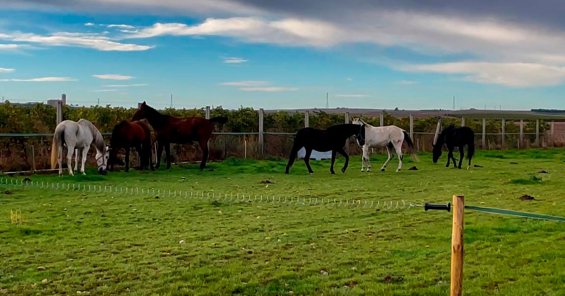 Centro Ecuestre Las Gemelas. Instalaciones