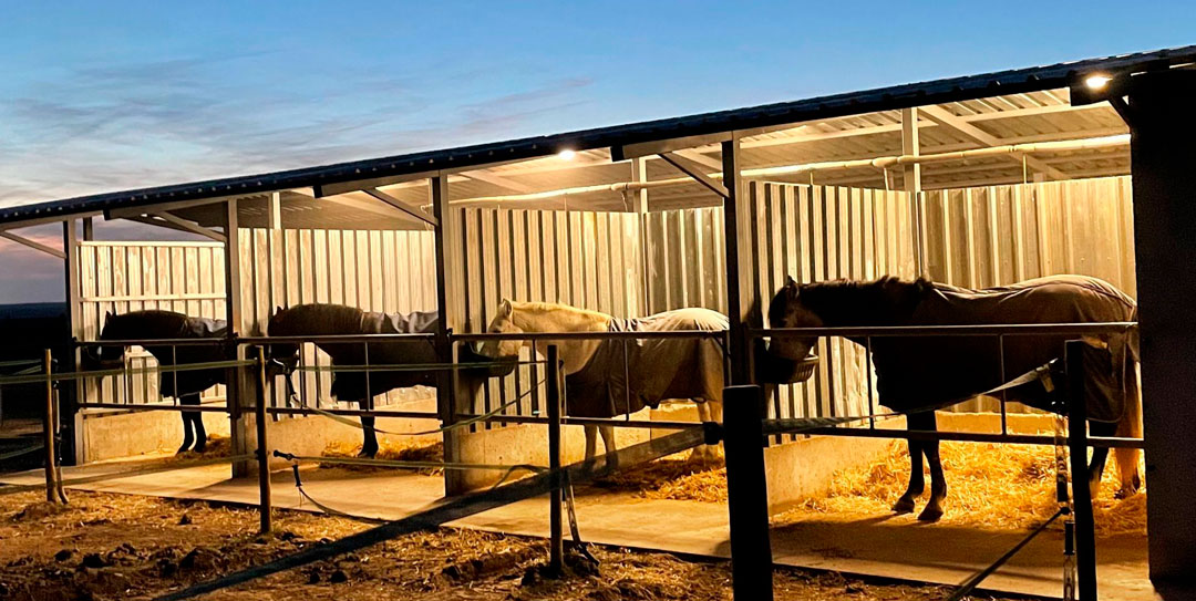 Centro Ecuestre Las Gemelas