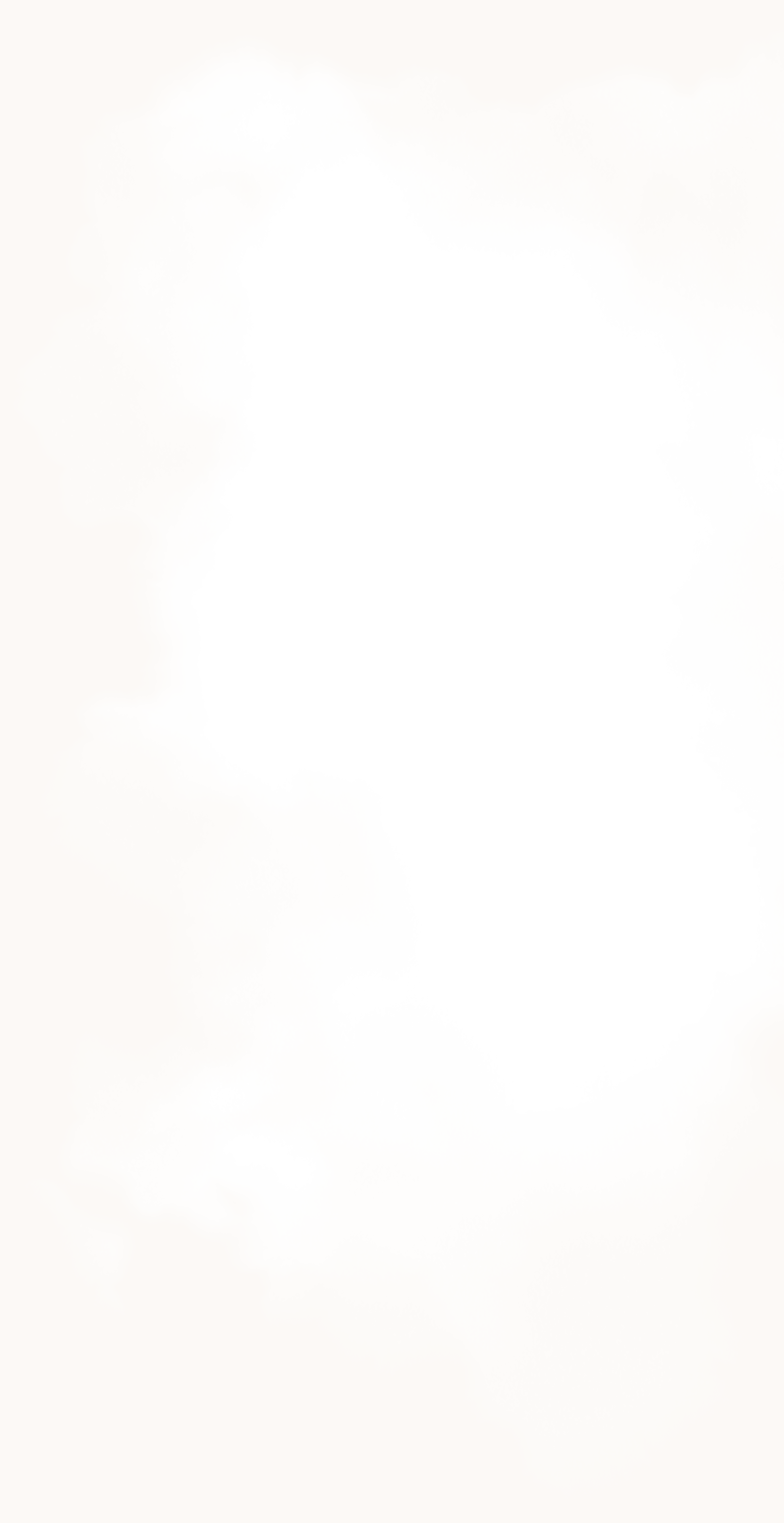 Centro Ecuestre Las Gemelas Servicios