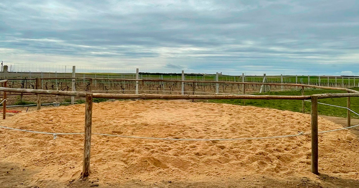 Circular para dar cuerda Centro Ecuestre las Gemelas 