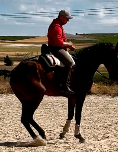 Centro Ecuestre Las Gemelas. Clases de equitación