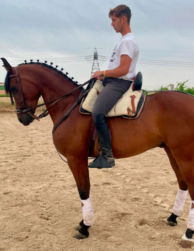 Centro Ecuestre Las Gemelas. Clases de equitación